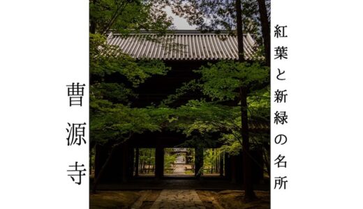 【曹源寺】岡山市中区 新緑と紅葉のおすすめ名所 写真好きが集まる絶景スポット