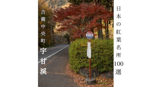 【宇甘渓】吉備中央町 日本の紅葉名所100選に選出 岡山が誇る絶景紅葉スポット