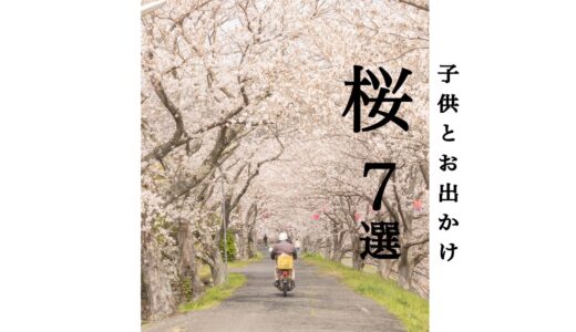 岡山県 子供と行く桜の名所 おすすめ7選 定番から穴場までを紹介