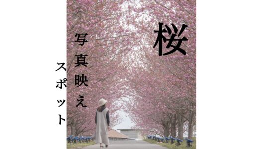 インスタ映えする岡山県のおすすめ桜スポット4選！穴場もご紹介！