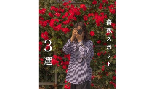 岡山県の穴場 薔薇スポット 3選