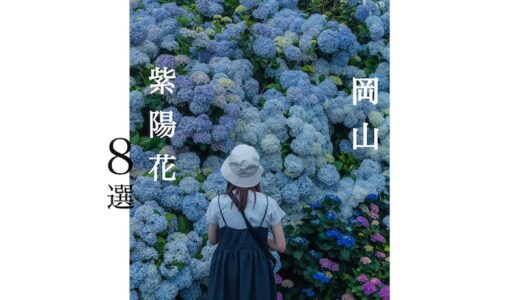 岡山県 穴場から定番まで 絶景の紫陽花スポット 8選